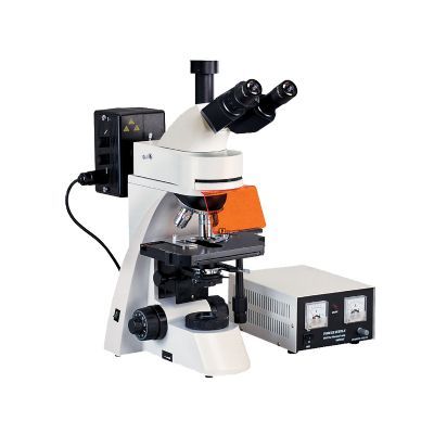 上海光學落射三目熒光顯微鏡XYG-300