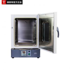 GX125BE 泰斯特 热空气消毒箱 干烤灭菌箱 天津热空气消毒箱