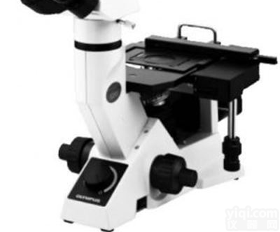 奥林巴斯 倒置式金相显微镜 GX41