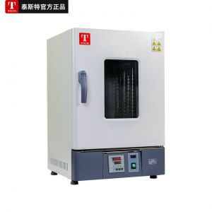 泰斯特 GX230B 对流热空气消毒箱 灭菌热空气消毒箱 干热灭菌箱