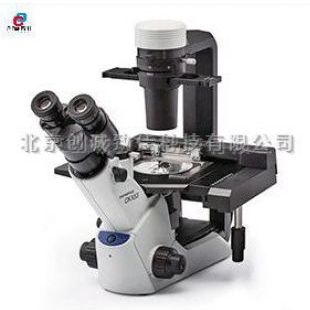 日本 Olympus 奥林巴斯 常规倒置型显微镜 CKX53