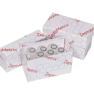 ZeptoMetrix 蛋白质印迹法试剂盒
