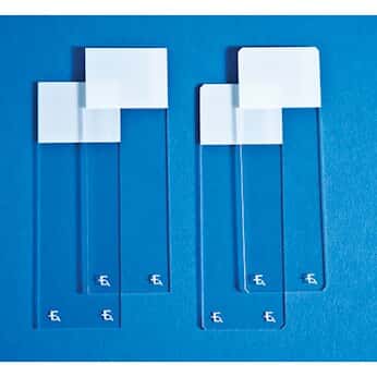 Erie Scientific 4941EXC-001 Superfrost Excell Adhesion Microscope Slides, 144/pk