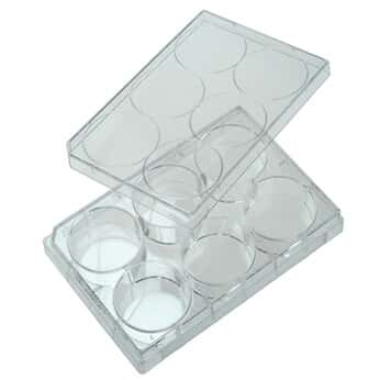 Cole-Parmer 6-Well Cell Culture Plate with Lid; 100/cs