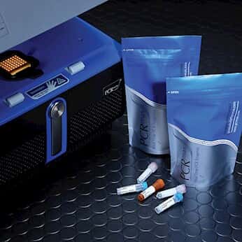 PCRmax DNA Specific Detection Kit for Merlangius merlangus (whiting), with mastermix