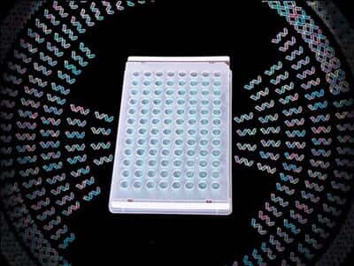 Excel Scientific ThermalSeal Sealing Film for PCR, Polypropylene, Non-Sterile, 50µm; 100/PK