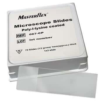 Masterflex Adhesive Coated Microscope Slide, Poly-l-lysine; 144/PK