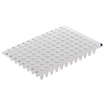 PCRmax qPCR Plate 96-Well white, low profile, no skirt