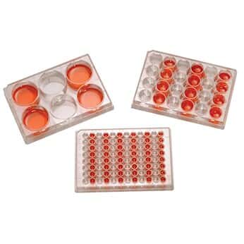 Argos Technologies Sterile Tissue Culture 6-Well Plate