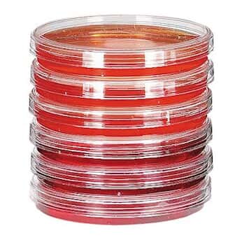 Cole-Parmer 灭菌培养皿; 100 mm 直径 x 15 mm 高; 500 个/箱