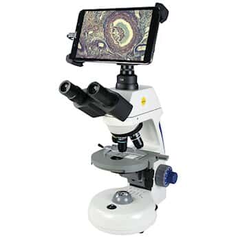 Swift Optical Compound Microscope with Tablet-Style Display and Camera, Phase-Contrast objectives
