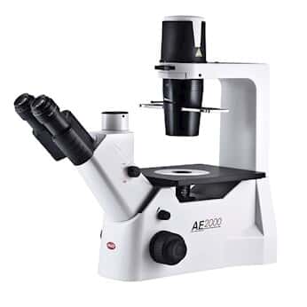 Motic Instruments 1100103800029 Inverted Microscope, Trinocular head