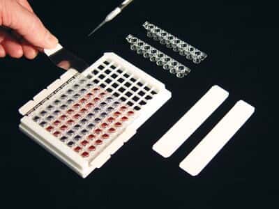Excel Scientific SealPlate MiniStrip Films, Sterile; 2