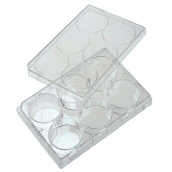 Cole-Parmer 6-Well Treated Cell Culture Plate with Lid