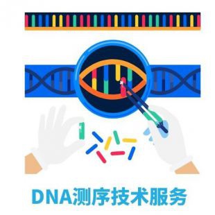 DNA测序技术服务、新冠测序报价纳全生物