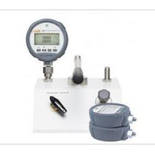 P5510-2700G, P5513-2700G Pneumatic Pressure Calibr
