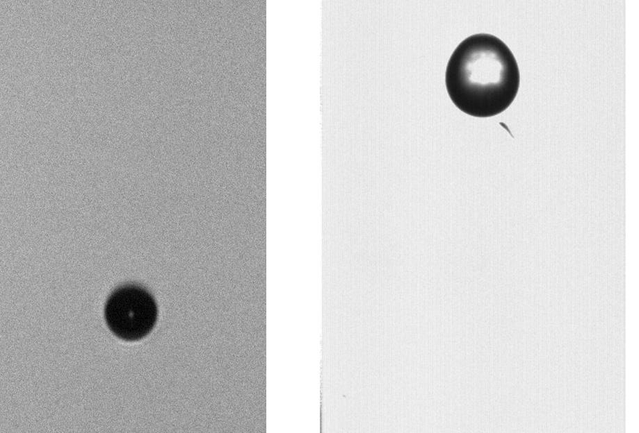 图5 两者对比（左CCD配合频闪、右千眼狼高速摄像机）.png
