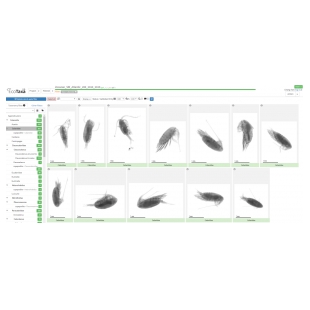 法国HYDROPTIC公司ZooSCAN浮游动物图像扫描分析系统