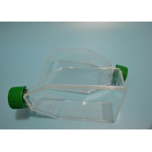 上海增友生物Y-10075无菌细胞培养瓶250ml透气盖密封盖细胞培养瓶