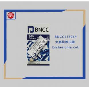 大肠埃希氏菌|BNCC