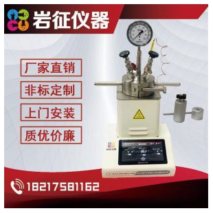 上海小型反应釜微型智能反应釜高压氧化非标定制规格齐全岩征仪器