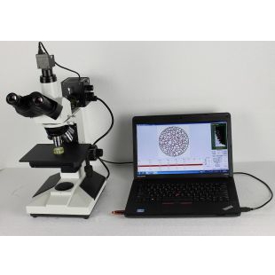 正置金相显微镜 可选金相分析软件