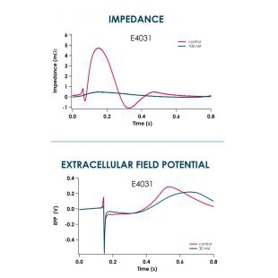 CardioExcyte 96非标记多功能心肌细胞研究系统