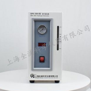 上海全浦氢气发生器QPH-300II