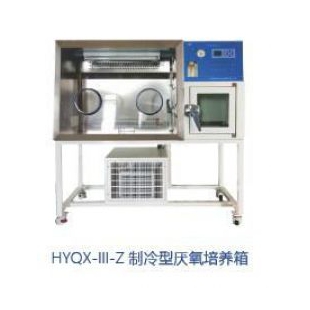 上海跃进恒字厌氧培养箱HYQX-Ⅲ型