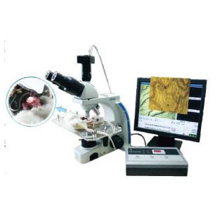 BI-2000医学图像分析系统