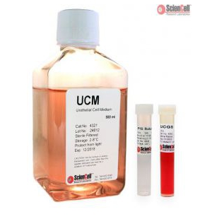 4321尿道上皮细胞培养基UCM