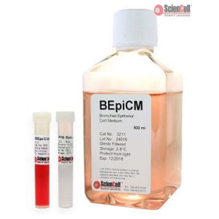 3211支气管上皮细胞培养基BEpicM