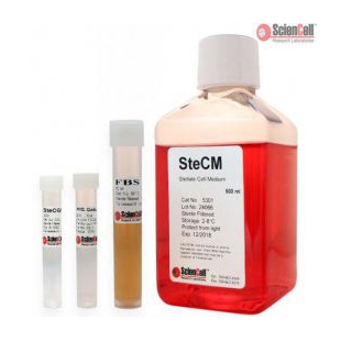 5301 肝星形细胞培养基SteCM