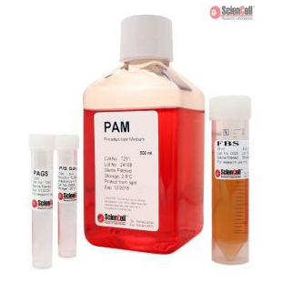 7211前脂肪细胞培养基PAM