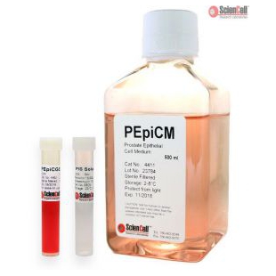 前列腺上皮细胞培养基PEpiCM