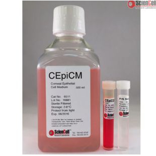 角膜上皮细胞培养基 CEpiCM