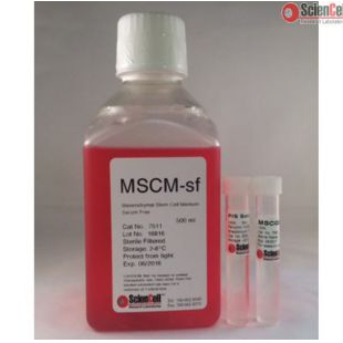 无血清间充质干细胞培养基MSCM-sf