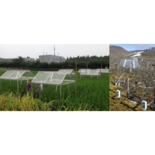 WD100 植物葉綠素熒光自動監測系統