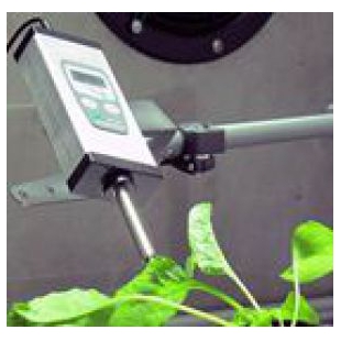 MonitoringPenMP100植物叶绿素荧光测量仪