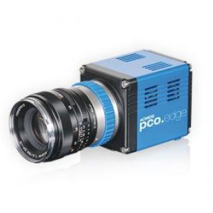 德国 pco.edge3.1 16bit高灵敏度sCMOS相机 