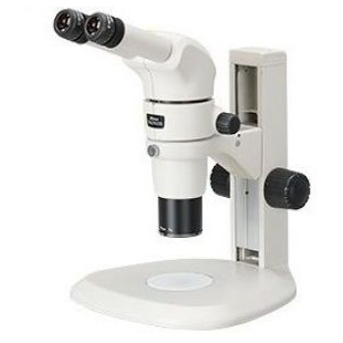 尼康    体视显微镜SMZ800N