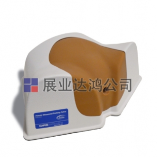 美国CIRS品牌 404A女性超声训练骨盆 深圳发货