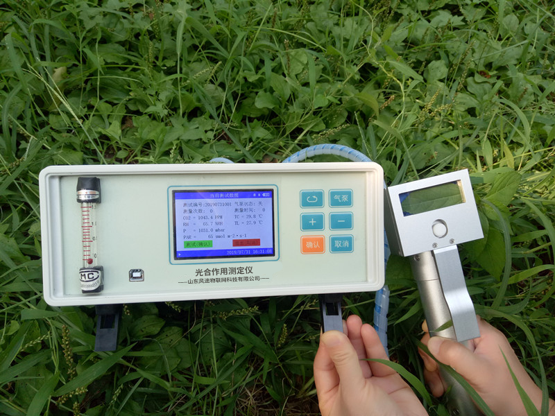 植物光合作用测定仪