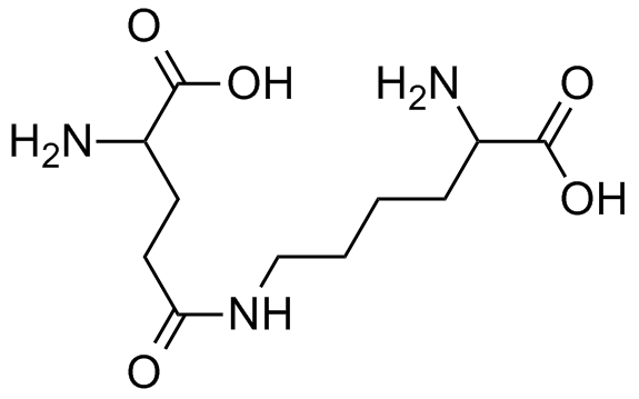 γL谷氨酸εL赖氨酸