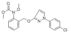 甲苯中吡唑醚菌酯溶液