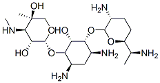 庆大霉素C2