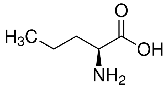 L正缬氨酸