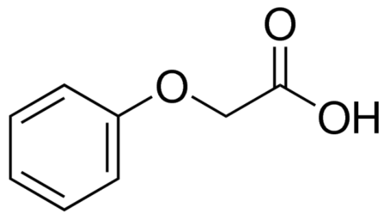 苯氧乙酸