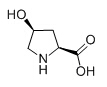 羟基脯氨酸 