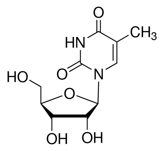 胸腺嘧啶核糖核苷